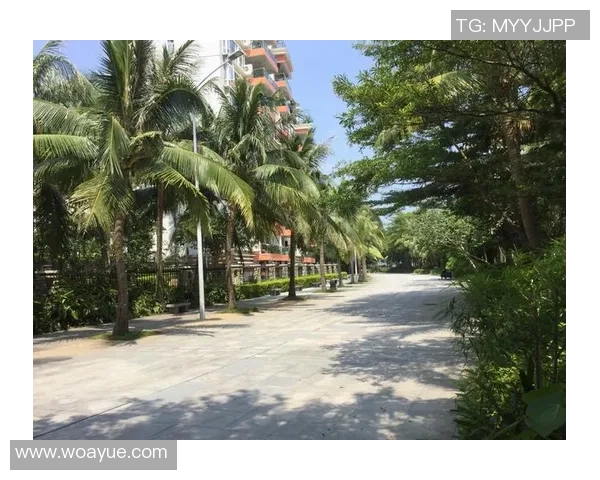 深圳飞盘队的成功运营策略与发展模式深度解析